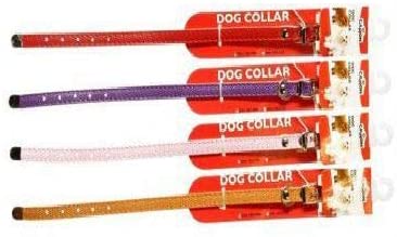 Camon collare per cani pequeã 'OS Camon collare per cani pequeã 'OS